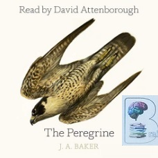 The Peregrine written by J.A. Baker performed by David Attenborough on CD (Unabridged)